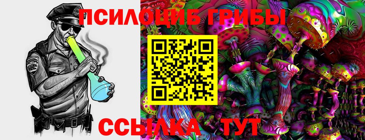 Карпинск  Псилоцибиновые грибы Psilocybine cubensis  Вход с VPN 
