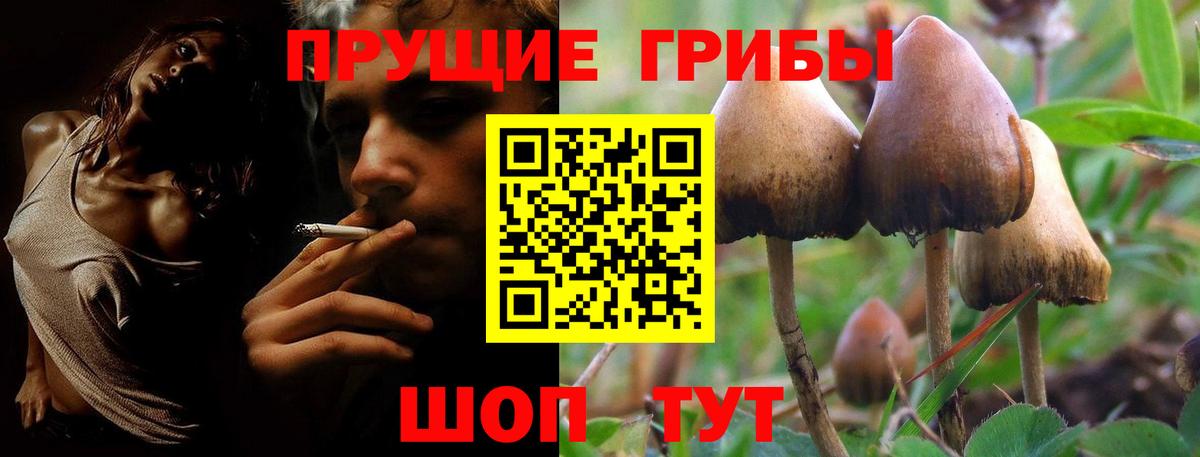 Галлюциногенные грибы ЛСД Карпинск